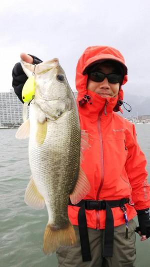 hideup 永野総一朗 ブログ写真 2017/10/29