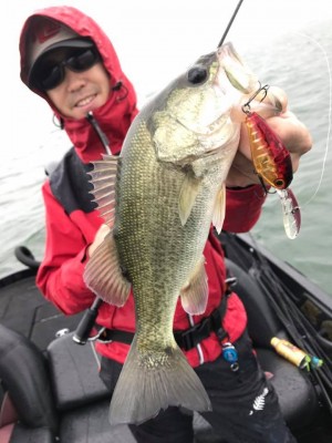 hideup 永野総一朗 ブログ写真 2017/09/17