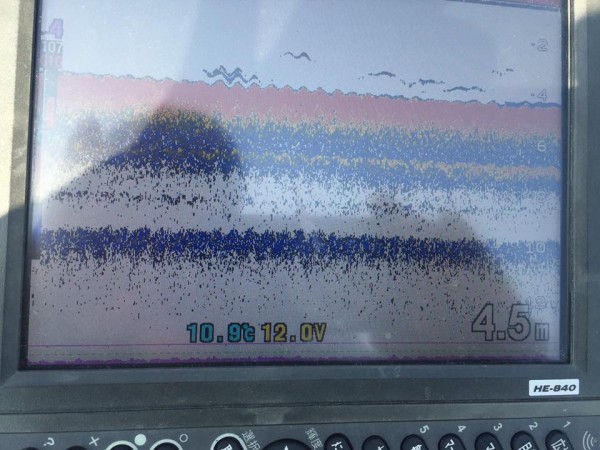 hideup 永野総一朗 ブログ写真 2017/04/30