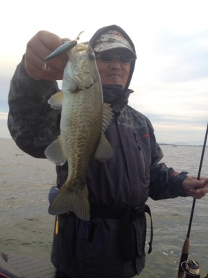 hideup 永野総一朗 ブログ写真 2014/11/05