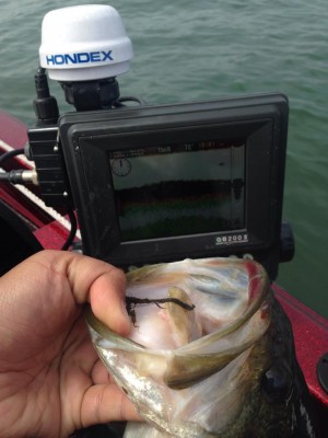 hideup 永野総一朗 ブログ写真 2015/03/21