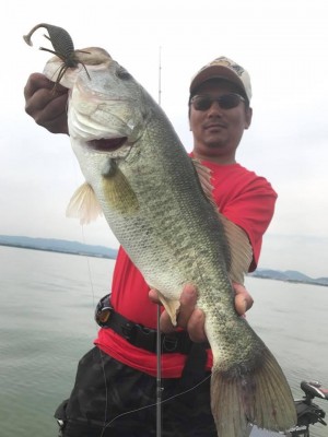 hideup 永野総一朗 ブログ写真 2017/06/22