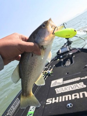 hideup 永野総一朗 ブログ写真 2017/10/26