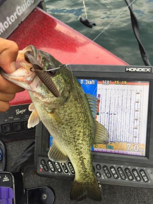 hideup 永野総一朗 ブログ写真 2015/08/09