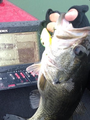 hideup 永野総一朗 ブログ写真 2015/03/07