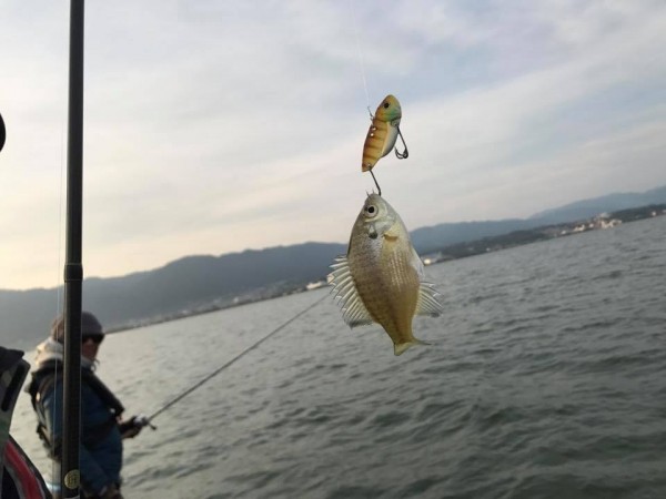 hideup 永野総一朗 ブログ写真 2017/11/17