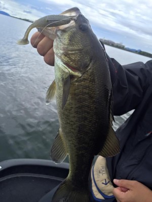 hideup 永野総一朗 ブログ写真 2016/09/13