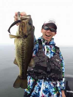 hideup 豌ｸ驥守ｷ丈ｸ譛� 繝悶Ο繧ｰ蜀咏悄 2016/06/22