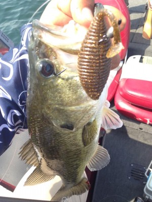 hideup 永野総一朗 ブログ写真 2015/05/27