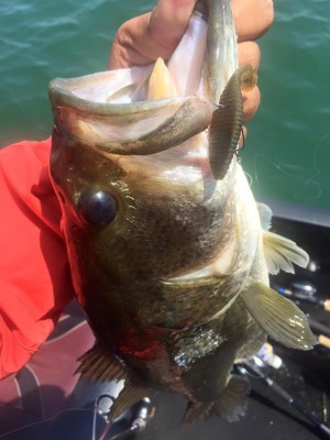 hideup 永野総一朗 ブログ写真 2016/05/21