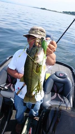 hideup 豌ｸ驥守ｷ丈ｸ譛� 繝悶Ο繧ｰ蜀咏悄 2016/07/11