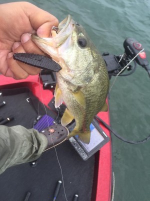 hideup 永野総一朗 ブログ写真 2015/09/17