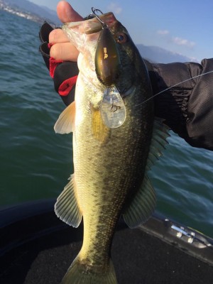 hideup 永野総一朗 ブログ写真 2016/12/19