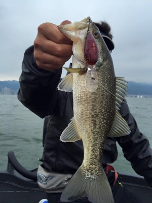 hideup 永野総一朗 ブログ写真 2016/05/09