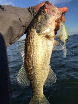 hideup 永野総一朗 ブログ写真 2017/11/12