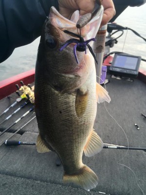 hideup 永野総一朗 ブログ写真 2015/11/21