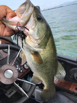 hideup 永野総一朗 ブログ写真 2017/08/07