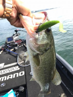 hideup 永野総一朗 ブログ写真 2017/07/16