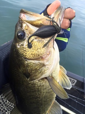 hideup 永野総一朗 ブログ写真 2016/02/12