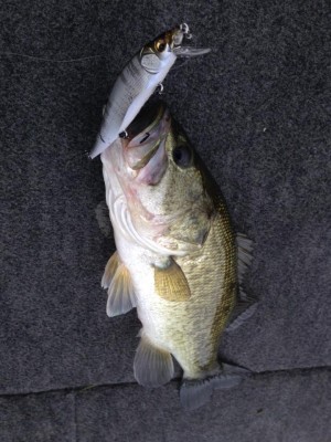 hideup 永野総一朗 ブログ写真 2015/06/12