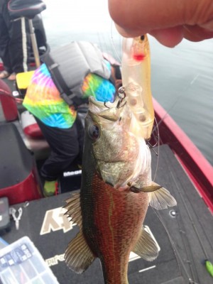 hideup 永野総一朗 ブログ写真 2015/06/09