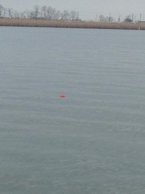 hideup 永野総一朗 ブログ写真 2015/03/02