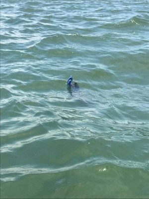 hideup 永野総一朗 ブログ写真 2017/06/18