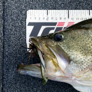 hideup 永野総一朗 ブログ写真 2015/12/14