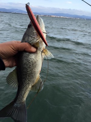 hideup 永野総一朗 ブログ写真 2016/04/02