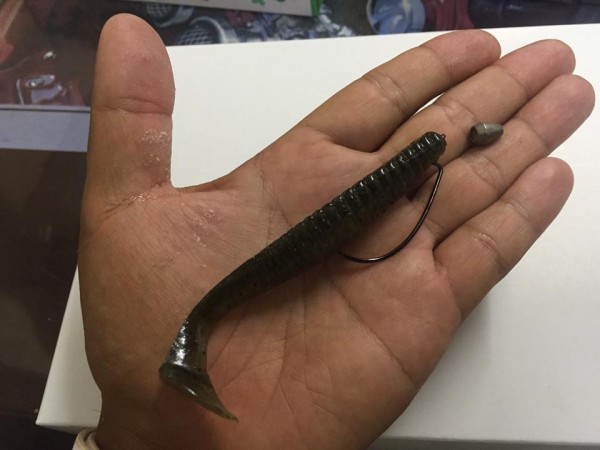 hideup 永野総一朗 ブログ写真 2015/12/18