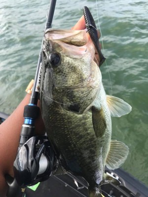 hideup 永野総一朗 ブログ写真 2017/08/06