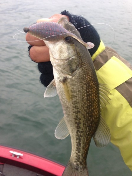 hideup 永野総一朗 ブログ写真 2013/11/27