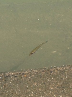 hideup 永野総一朗 ブログ写真 2013/09/19