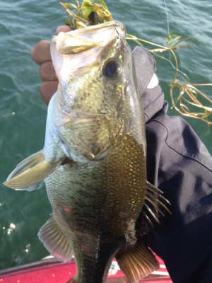 hideup 永野総一朗 ブログ写真 2015/05/09