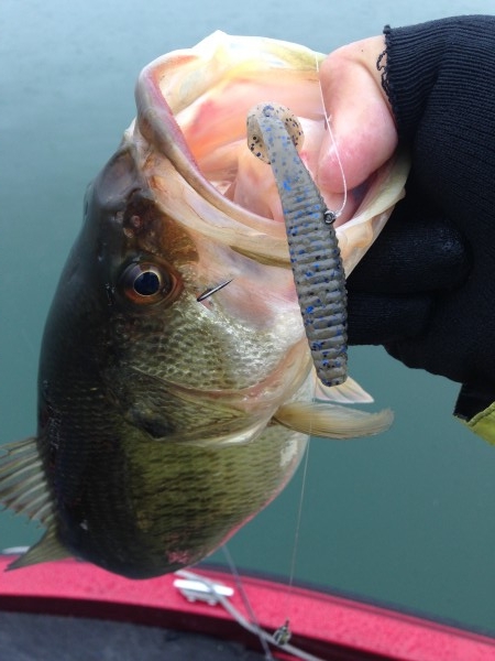 hideup 永野総一朗 ブログ写真 2014/03/05