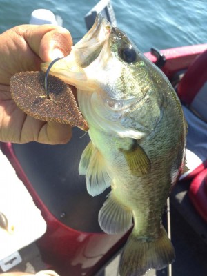 hideup 豌ｸ驥守ｷ丈ｸ譛� 繝悶Ο繧ｰ蜀咏悄 2015/05/26