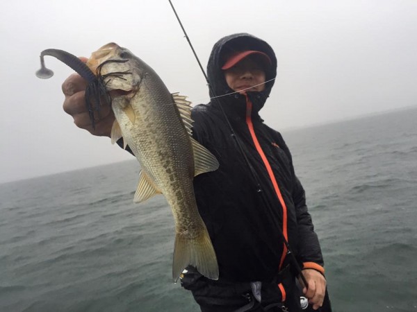 hideup 永野総一朗 ブログ写真 2015/11/18