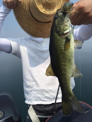 hideup 永野総一朗 ブログ写真 2015/08/04