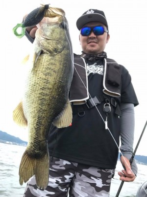 hideup 豌ｸ驥守ｷ丈ｸ譛� 繝悶Ο繧ｰ蜀咏悄 2017/08/14