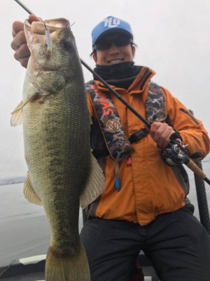 hideup 永野総一朗 ブログ写真 2017/11/18