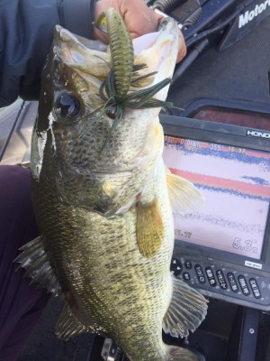 hideup 永野総一朗 ブログ写真 2017/04/24