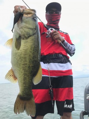 hideup 永野総一朗 ブログ写真 2017/08/18