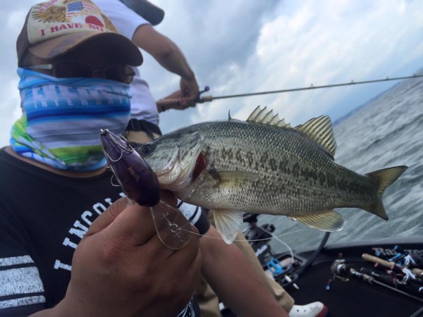 hideup 永野総一朗 ブログ写真 2016/07/03