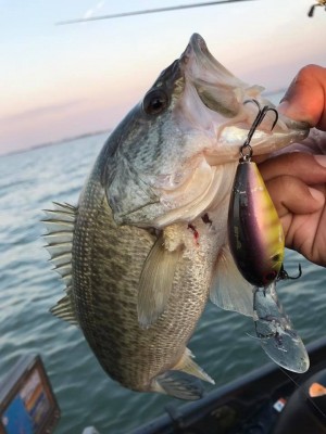 hideup 永野総一朗 ブログ写真 2017/11/03