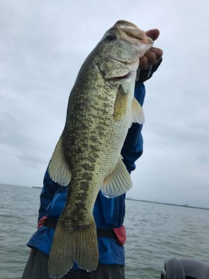 hideup 永野総一朗 ブログ写真 2017/06/25