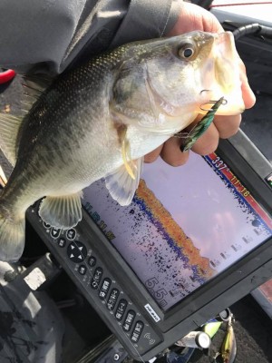 hideup 永野総一朗 ブログ写真 2017/11/25