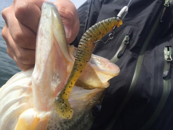 hideup 永野総一朗 ブログ写真 2017/05/04