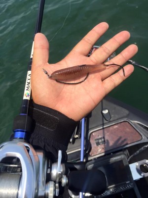 hideup 永野総一朗 ブログ写真 2016/06/15