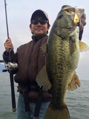 hideup 豌ｸ驥守ｷ丈ｸ譛� 繝悶Ο繧ｰ蜀咏悄 2016/04/23