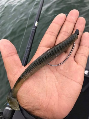 hideup 永野総一朗 ブログ写真 2017/06/11